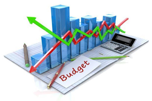 Bugetul instituției – anul financiar 2020